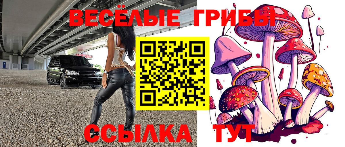 Галлюциногенные грибы прущие грибы  Вход с VPN  Дмитров 