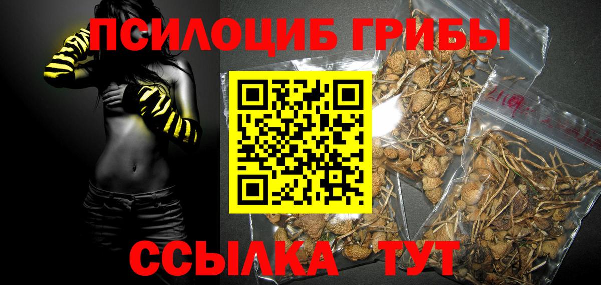 Метамфетамин  ГАШИШ  Дмитров  Вход с VPN  Канабис  Гашиш  Меф кристаллы  Кокаин  Каннабис 