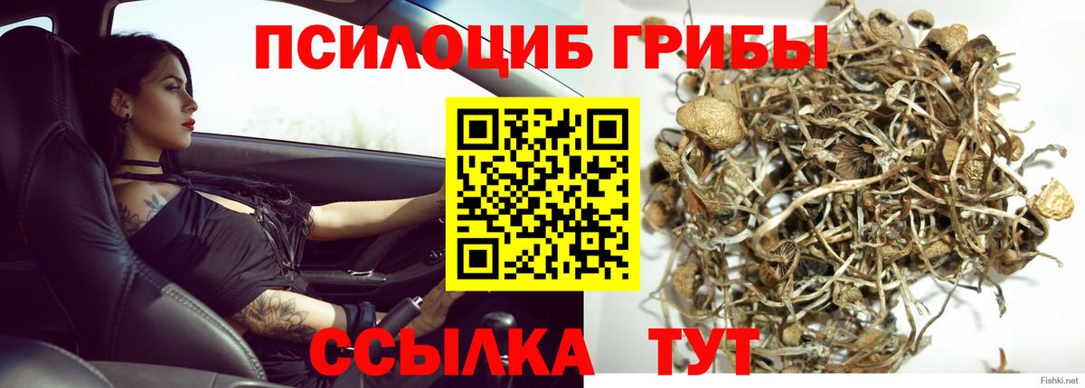 Галлюциногенные грибы Magic Shrooms Дмитров