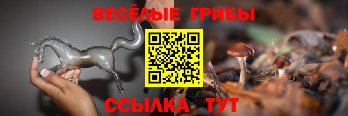 Codein Дмитров